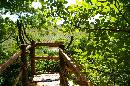 passerelle * 1536 x 1024 * (258KB)