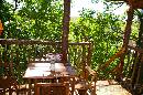 table2 * 1536 x 1024 * (246KB)